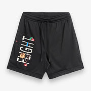 Jordan Flight Mesh Shorts Stone HF5474-070