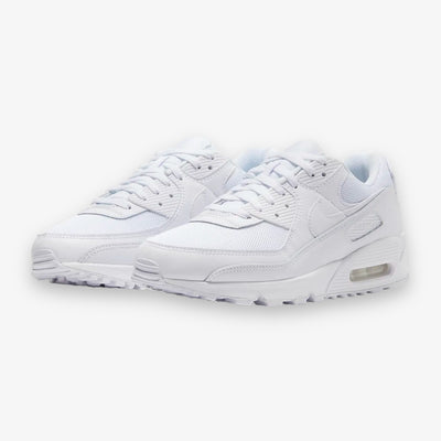 Nike Air Max 90 White Wolf Grey CN8490-100