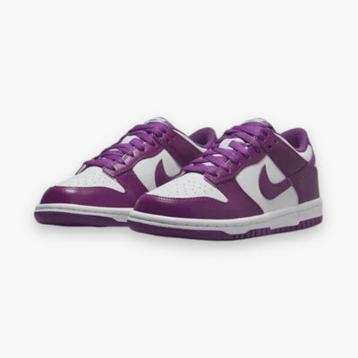 Nike DUNK LOW WHITE/VIOTECH-WHITE GS Grade School FB9109-110