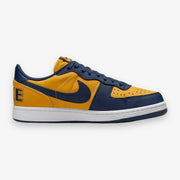 Nike Terminator Low OG University Gold Navy White FJ4206-700