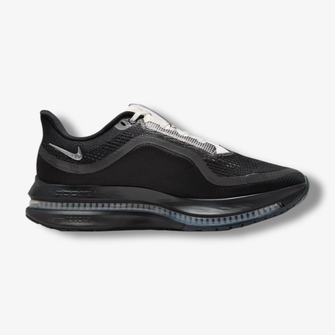 Nike Pegasus Premium SP black metallic silver white IH4369-001