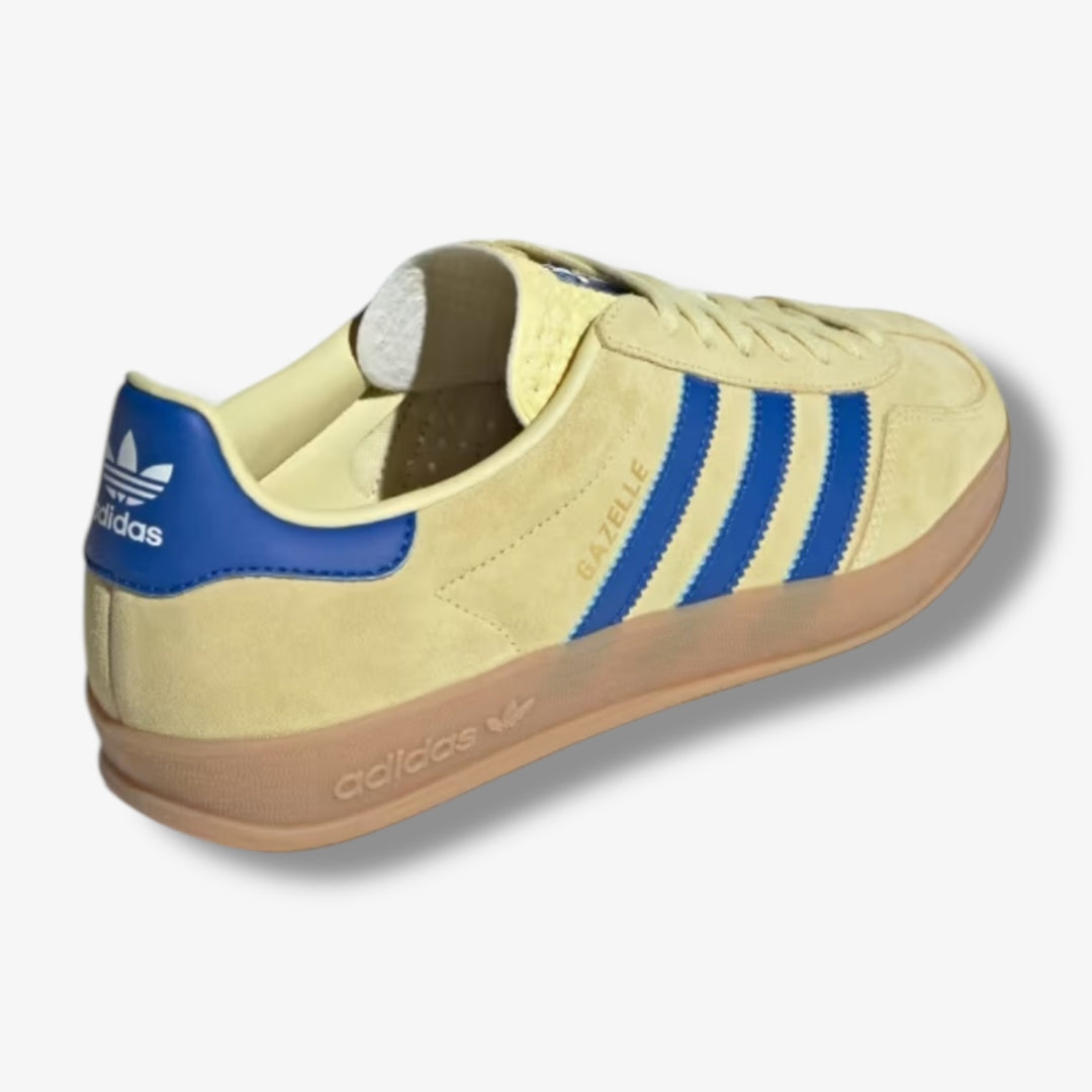 Adidas Gazelle Indoor PowYellow royblue JH5406