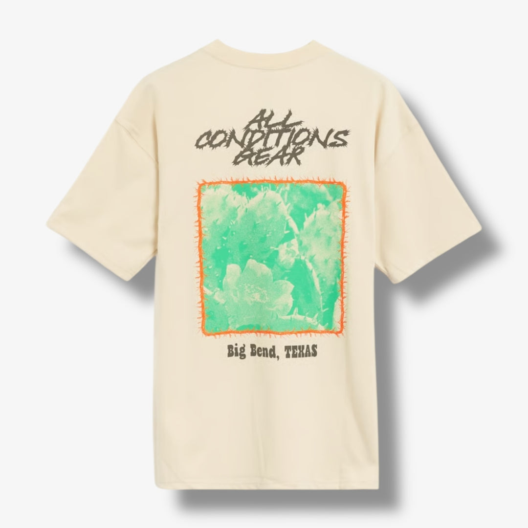 Nike ACG OC Cactus Tee xld HV1292-229 – Sneaker Junkies