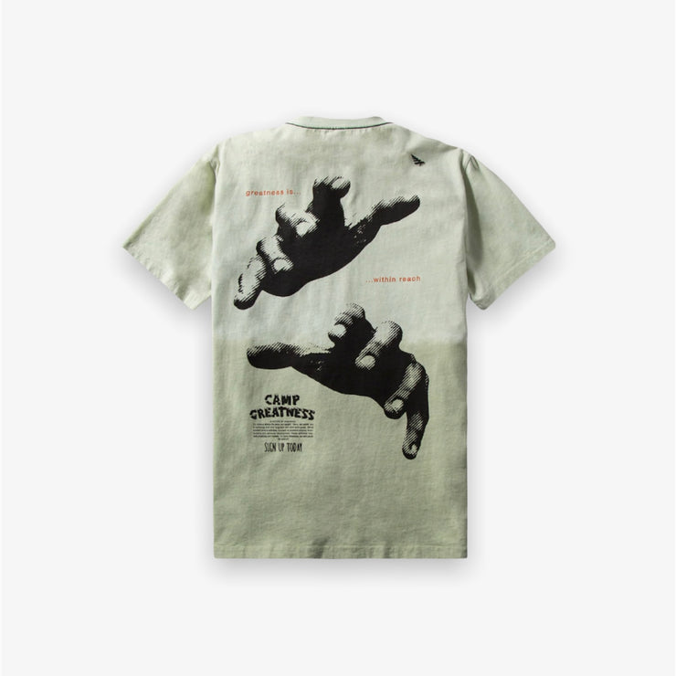 Paper Planes Greatness Within Reach Tee Sage