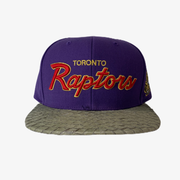 Mitchell & Ness NBA Raptors Lux Carp Script Snapback Purple Grey Snakeskin